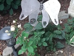 Garden_Butterfly-303x551x0x162x303x227x1662739145